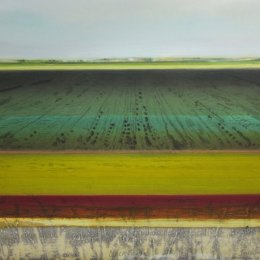 Black Fen IX