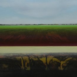 Black Fen XIV