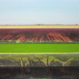 Black Fen XI