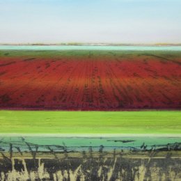 Black Fen XVI