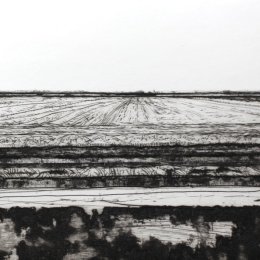 Earth Lines