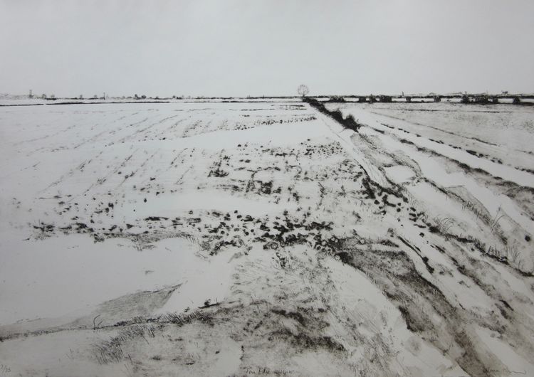 Fen Edge in Winter