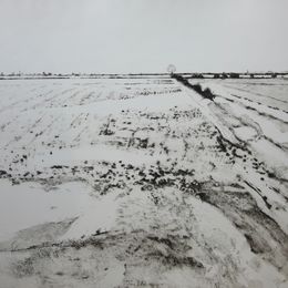 Fen Edge in Winter