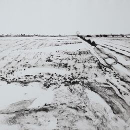 Fen Edge in Winter
