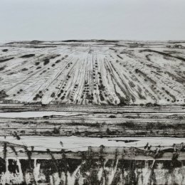 Fen State II
