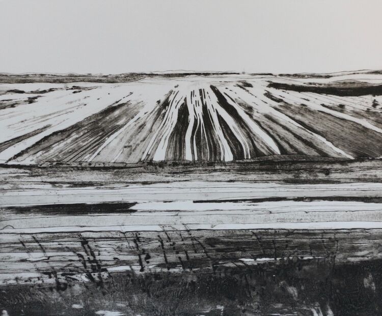Great North Fen