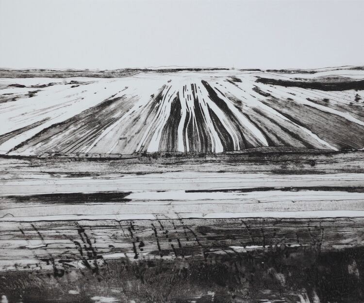 Great North Fen