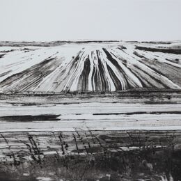 Great North Fen