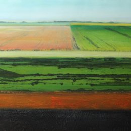 Great North Fen in Spring III