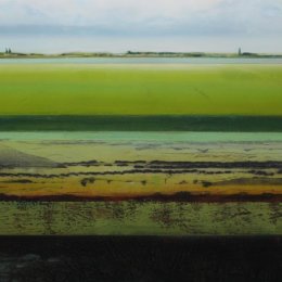 Great North Fen in Summer I