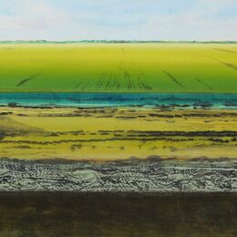 Great North Fen in Summer XVII