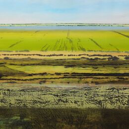 Great North Fen in Summer XVI