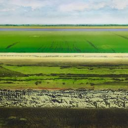Great North Fen in Summer XV