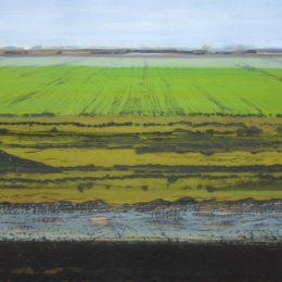 Great North Fen in Winter III