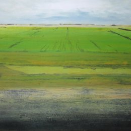 Great North Fen in Winter II
