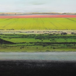 Great North Fen in Winter IV
