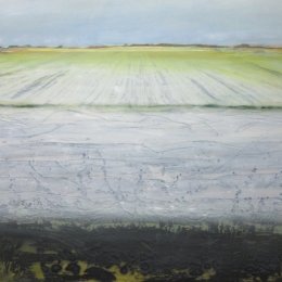 Great North Fen in Winter I