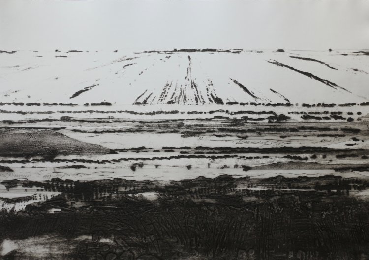 Great North Fen in Winter State II