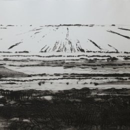 Great North Fen in Winter State II