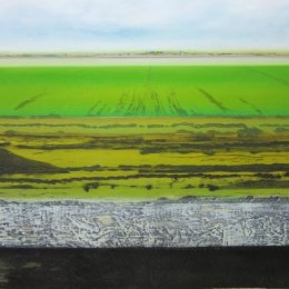Great North Fen in Winter XIII