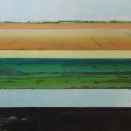 Great North Fen in Winter XI