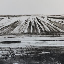 Great North Fen