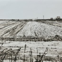 Harrow the Earth