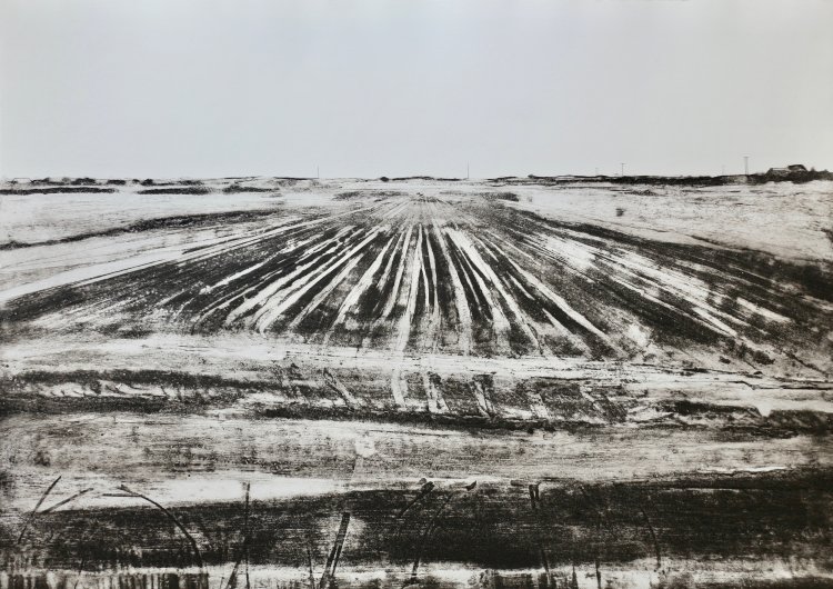 November Fen