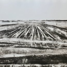 November Fen