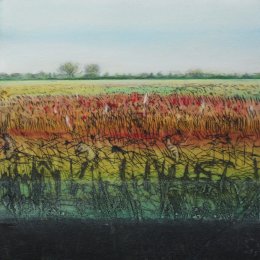 Sedge Fen II