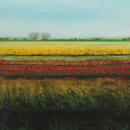Sedge Fen IX
