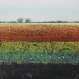 Sedge Fen I