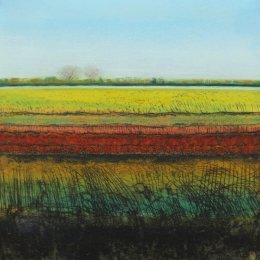 Sedge Fen VIII