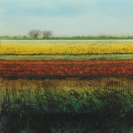 Sedge Fen XII