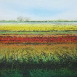 Sedge Fen XIV