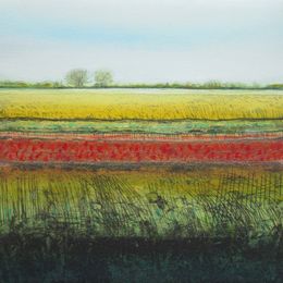Sedge Fen XI