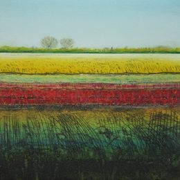 Sedge Fen XVIII