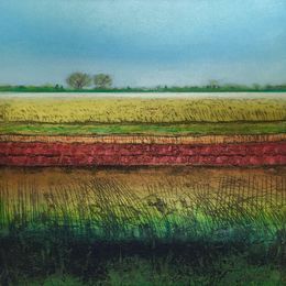 Sedge Fen XVI