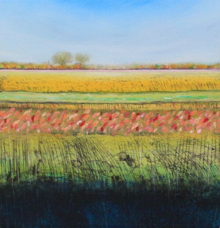 Sedge Fen XXIII