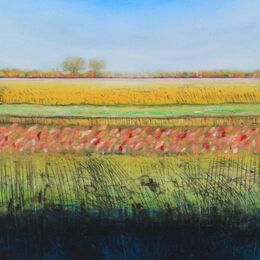 Sedge Fen XXIII