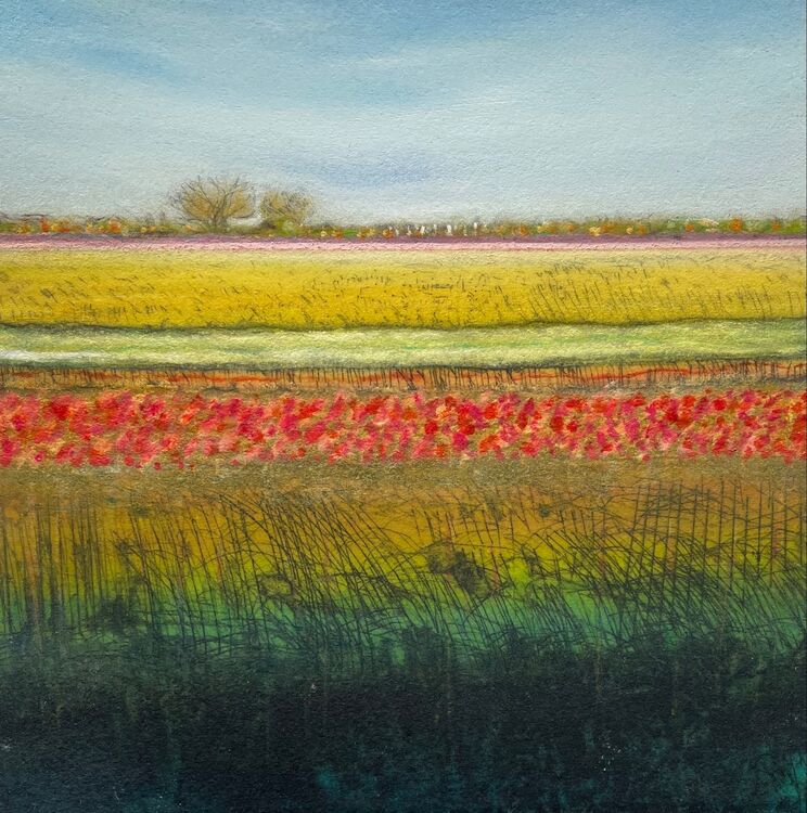 Sedge Fen XXII