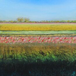 Sedge Fen XXII