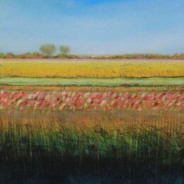 Sedge Fen XX