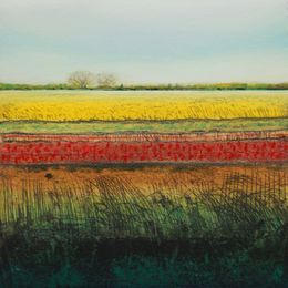 Sedge Fen X