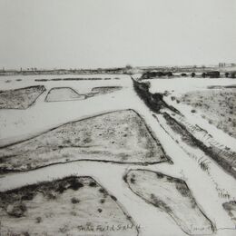 Snow Field State II