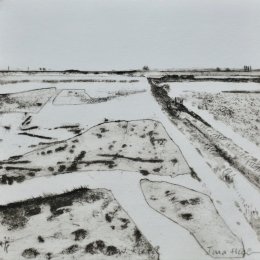 Snow Field