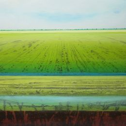 Summer Fen IX