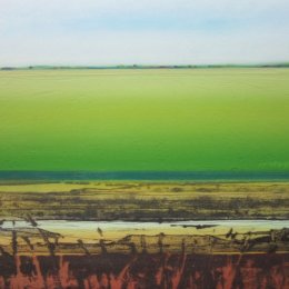 Summer Fen I