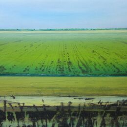 Summer Fen VIII
