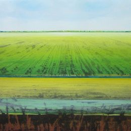 Summer Fen XI